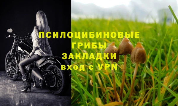 мет Заводоуковск