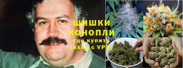 ECSTASY Зеленокумск