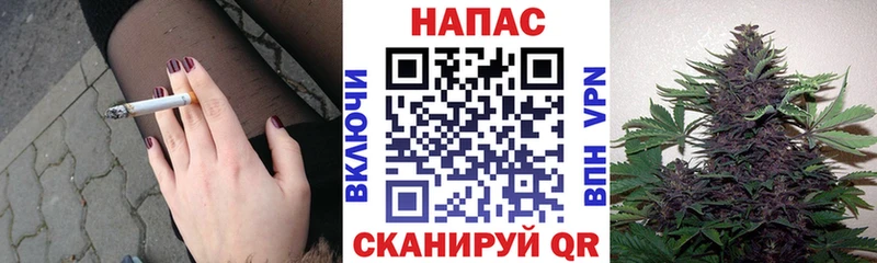 Каннабис ГИДРОПОН Котлас